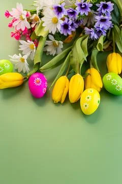 Multicolored Easter eggs and tulips on a green background Stock Photos