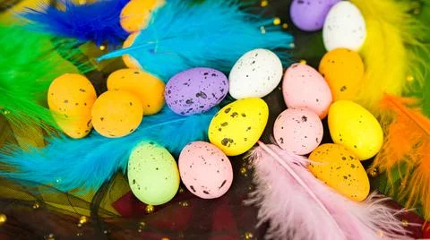 Multicolored easter eggs with feathers. Colourful small eggs with spots. Conc Stock Photos