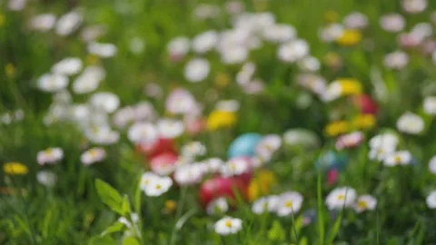 Multicolored Easter eggs Video stock 200913687