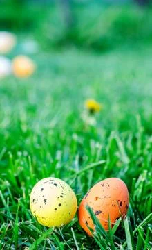 Multicolored easter eggs on green grass Stock Photos