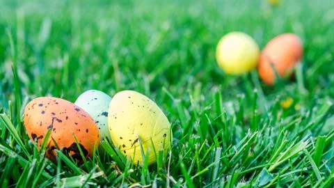 Multicolored easter eggs on green grass Stock Photos