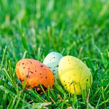 Multicolored easter eggs on green grass Stock Photos