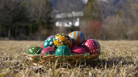 Multicolored eggs on lawn Stock Footage 83550157