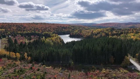 Multicolored Fall Forest Clearing Drone Landing in Matapedia Valley Stock Footage 346920938