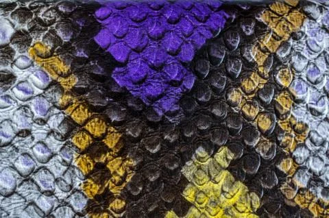 Multicolored faux leather snake Python texture for background. Close up Photos