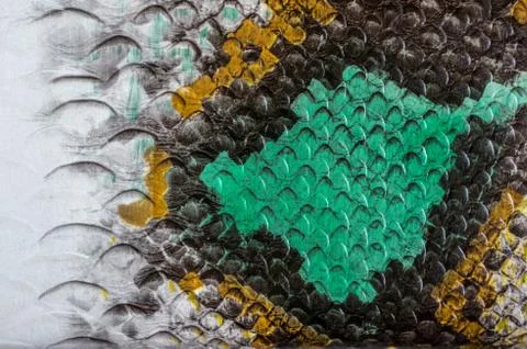 Multicolored faux leather snake Python texture for background. Close up Photos