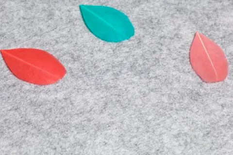 Multicolored feathers lie on a light gray felt background. Stock Photos
