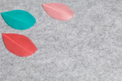 Multicolored feathers lie on a light gray felt background. Stock Photos