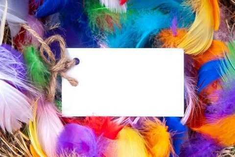 Multicolored feathers with a note mock up. Concept easter. Foto stock