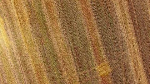 Multicolored fields after harvest, aerial video Stock Footage 78116601