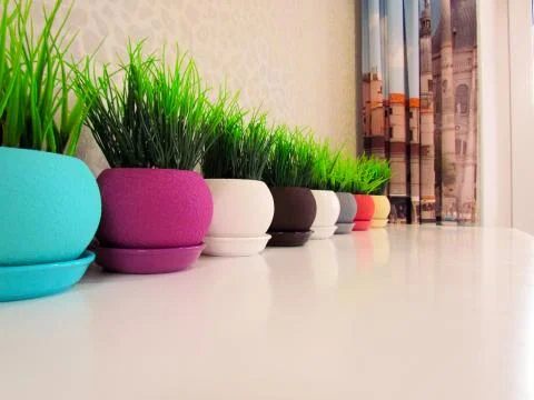 Multicolored flower pots, round shape on the table Stock Photos