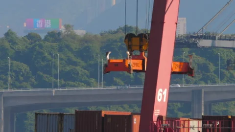 Multicolored freight containers in a harbor terminal Stock Footage 318382527