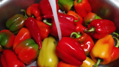 Multicolored fresh bell peppers in kitchen sink during washing Stock Footage 164292907