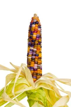 Multicolored glas gem corn Stock Photos