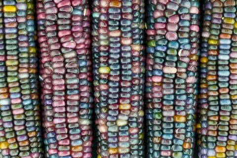 Multicolored glas gem corn Stock Photos