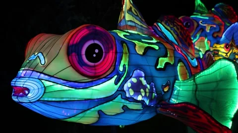 Multicolored Glowing Fish at Chinese Lantern Festival - Shallow Depth of Fie Stock Footage 246132468