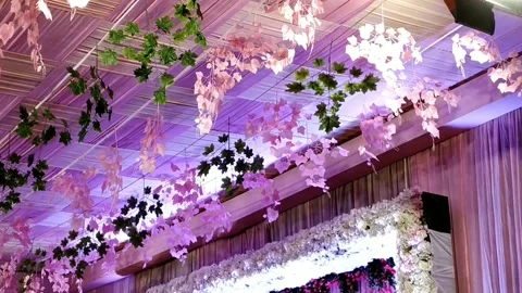 Multicolored hanging maple leaves with contrast lighting, singing and dancing Stock Footage 134336706