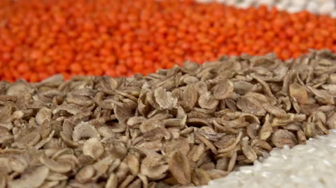 Multicolored Harvest Stock Footage 47707989