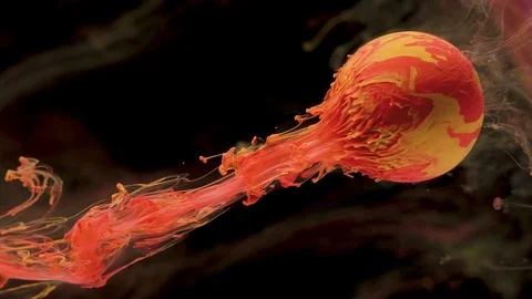 Multicolored ink paint slowly flows from the ball Stock Footage 104139839