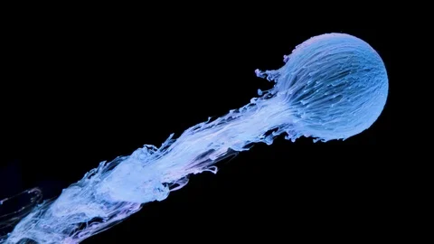 Multicolored ink paint slowly flows from the ball Stock Footage 104141011