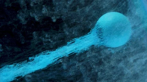 Multicolored ink paint slowly flows from the ball Stock Footage 104141923