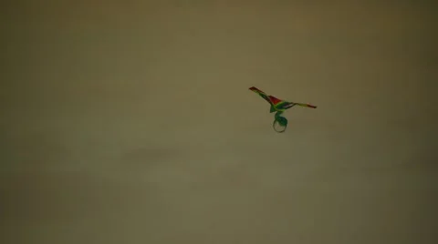 Multicolored kite flying in sky Stock Footage 55571413