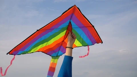 Multicolored Kite 스톡 동영상 107995476