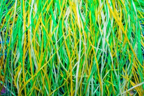 Multicolored knotted lace of thread. Abstract background color Stock Photos