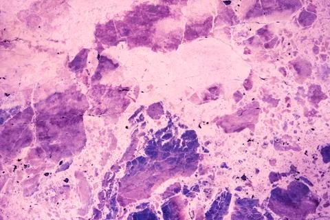 Multicolored layered marble texture with different veins and scratches Stock Photos