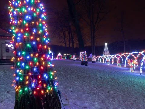 Multicolored LED Christmas string lights wrap the trunk of a tree with arched Stock Photos
