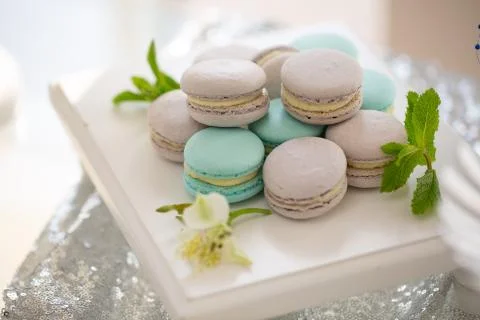 Multicolored macaroons and fresh mint closeup on a platter. Stock Photos