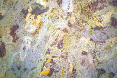 Multicolored  marble plaster texture Stock Photos