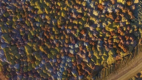 Multicolored mosaic. A bird's-eye view. Dumps of the quarry. Ecology Stock Footage 73577174