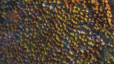 Multicolored mosaic. A bird's-eye view. Dumps of the quarry. Ecology Stock Footage 73579221