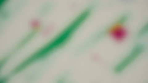 Multicolored Motion Gradient Figures Beauty Flowing Abstract Background Stock-Footage 111925589