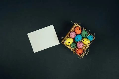 Multicolored painted Easter quail eggs in little box and white blank greeting Stock Photos