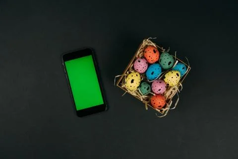 Multicolored painted Easter quail eggs in little box and smartphone with green Stock Photos