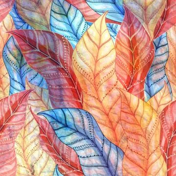 Multicolored pattern of leaves Stock Photos