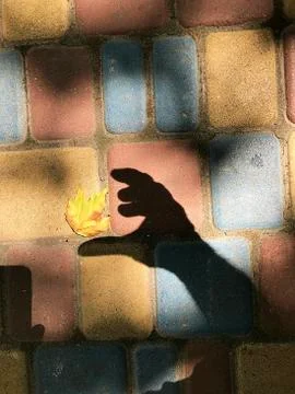 Multicolored paving slabs. Stock Photos