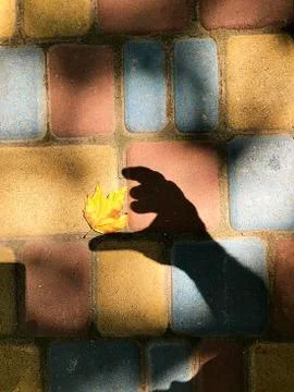 Multicolored paving slabs. Stock Photos