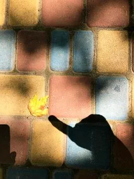 Multicolored paving slabs. Stock Photos