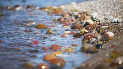 Multicolored pebbles and shells gently washed by shallow sea waves along ro.. 스톡 동영상 344304898
