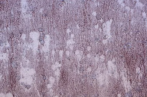 Multicolored peeling wall texture and background. Surface with pimples, sta.. Stock Photos