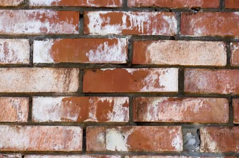 Multicolored peeling wall texture and background. Painted brickwork. Stock Photos