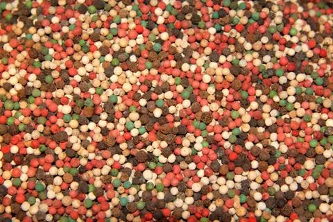 Multicolored peppers Stock Photos