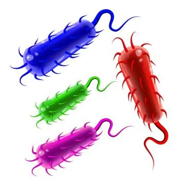 Multicolored plastic rod-shaped bacillus bacteria with fimbriae and flagellum Stock Illustration