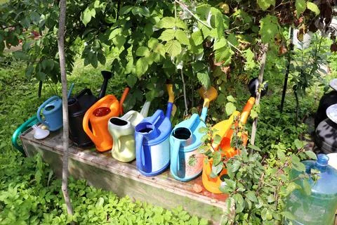 Multicolored plastic watering cans filled with water under a tree in the gard Stock Photos