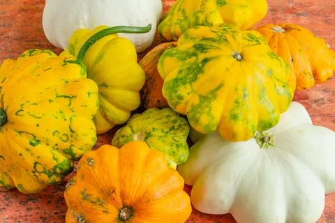 Multicolored pumpkin close-up, autumn composition, top view Stock Photos