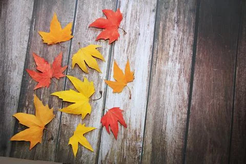Multicolored red, yellow, orange maple leaves on a wooden background Stock Photos
