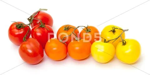 Multicolored ripe fresh tomatoes Stock Photos